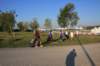 img_7307_small.jpg