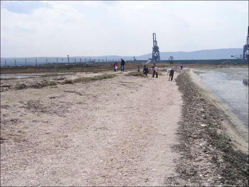 P1010069