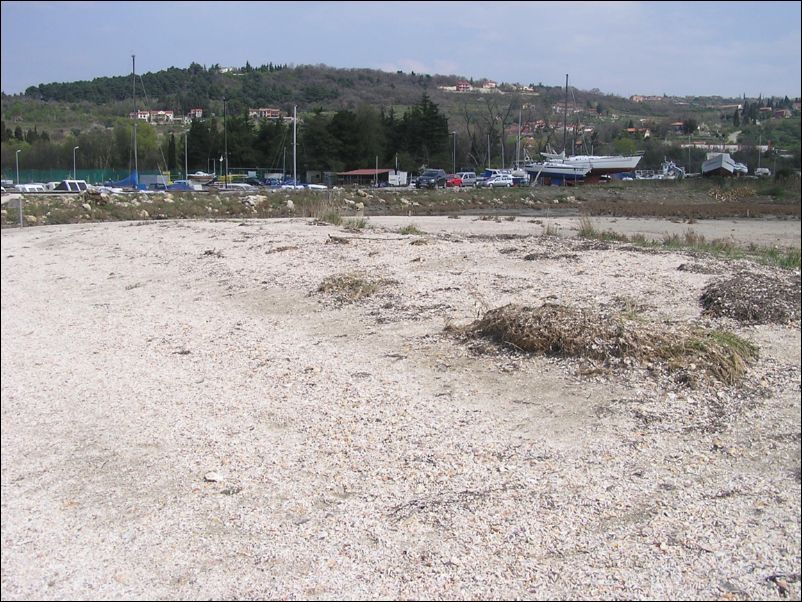 P1010070