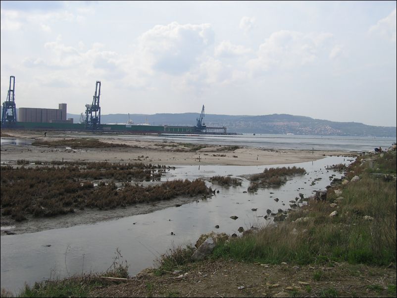 P1010075