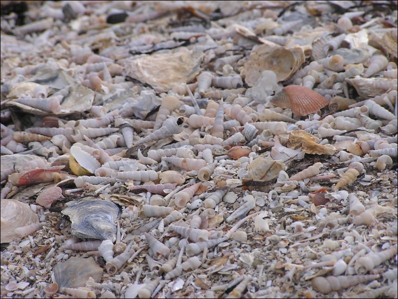 P1010085