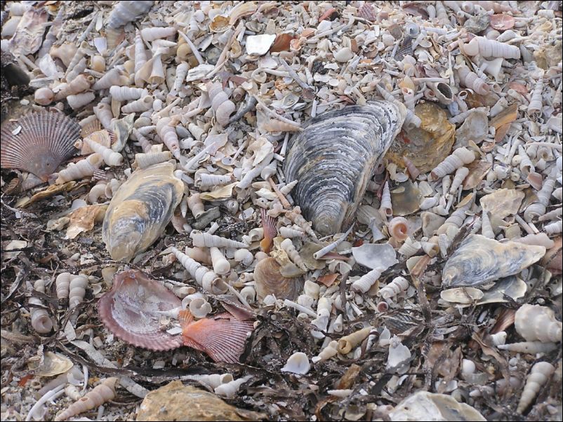 P1010086